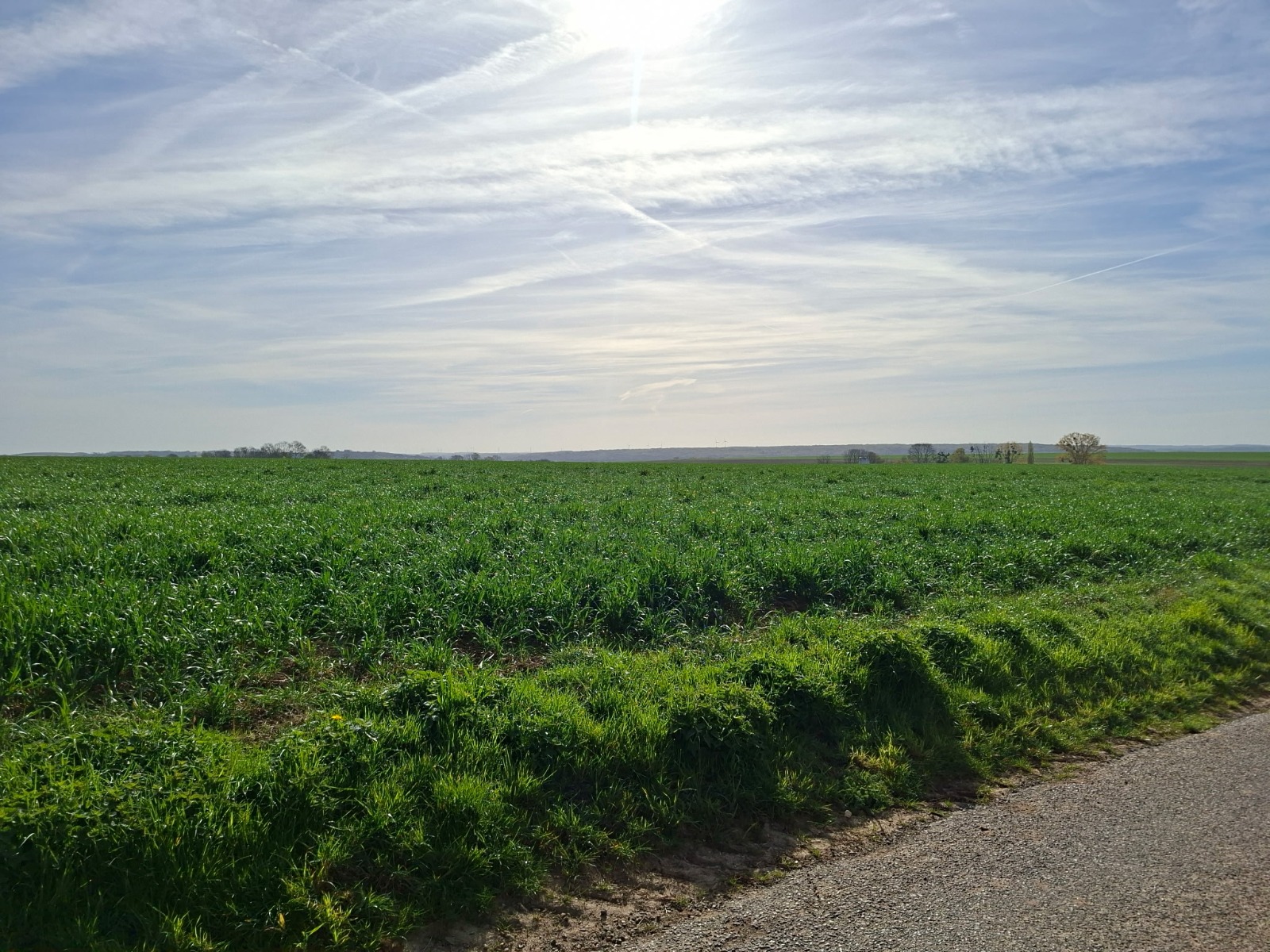 Sortie du groupe 4
