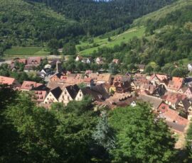 Randonnée d'Alsace du 23 au 29 juin 2019