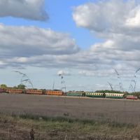 Le petit train pour visiter les environs du Le Crotoy