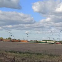 Le petit train pour visiter les environs du Le Crotoy