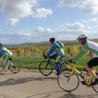 Françoise et Alain V. en bonne compagnie